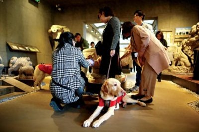 ​让文化之光照亮残疾人美好生活——“十四五”残疾人文化事业发展综述