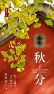 ​唯美的秋分壁纸图集