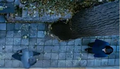 ​《无问西东》刘淑芬的可怜，许伯常的渣，太多的人没有看懂