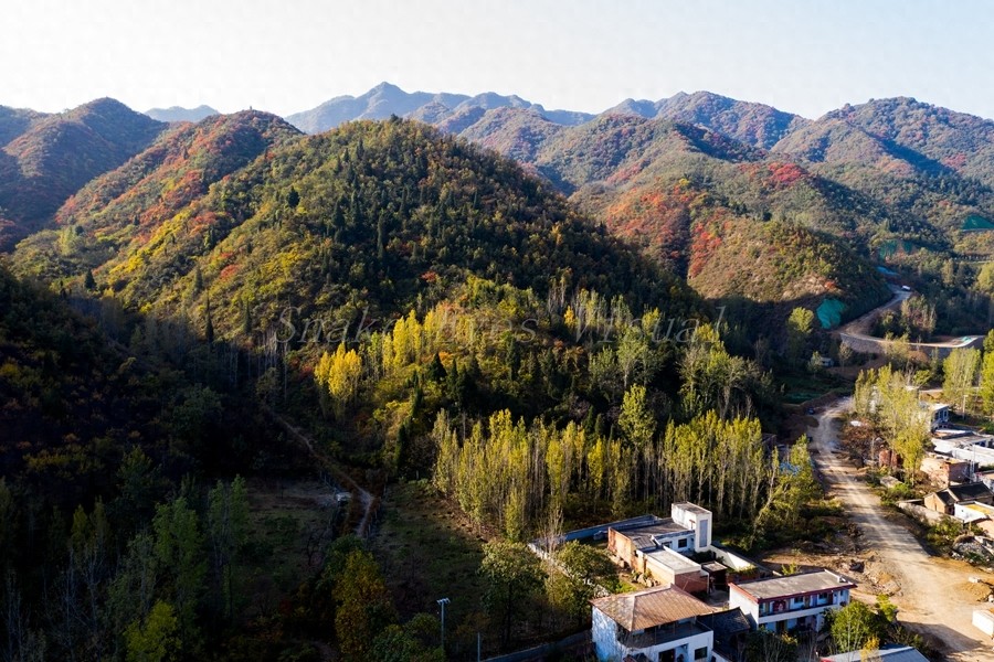 没想到呀，这个地方非常美，有美景有温泉，这就是洛阳九龙山