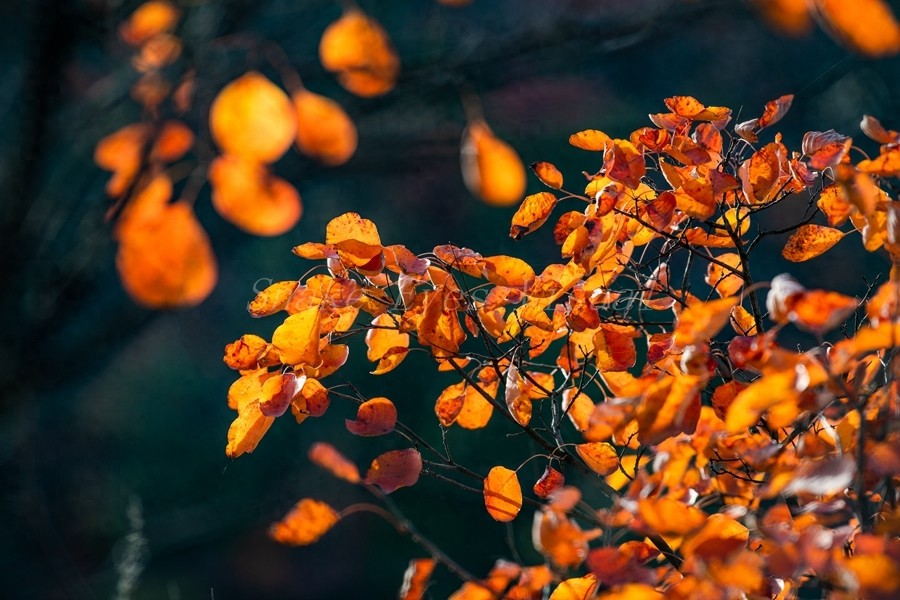 没想到呀，这个地方非常美，有美景有温泉，这就是洛阳九龙山