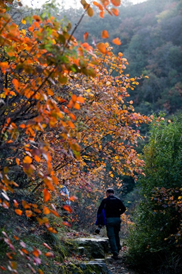 没想到呀，这个地方非常美，有美景有温泉，这就是洛阳九龙山