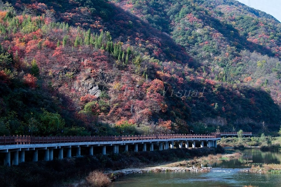 没想到呀，这个地方非常美，有美景有温泉，这就是洛阳九龙山