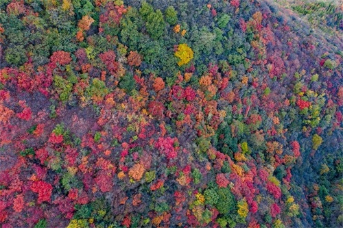 没想到呀，这个地方非常美，有美景有温泉，这就是洛阳九龙山