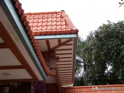 ​树脂瓦的价格是多少