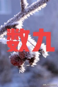 ​今天冬至！是数九第一天吗？今年冬天冷不冷？看老祖宗留下的谚语