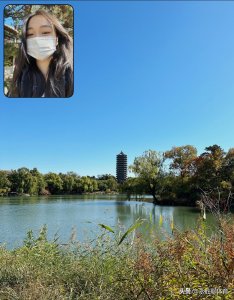 ​20岁花滑美女在北大备考，因伤提前退赛，日本坂本花织夺冠