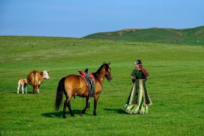 ​7大绝美草原，你去过几个？5个以上，那你绝对是旅游达人