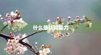 ​什么是认知能力(什么是认知能力受限)