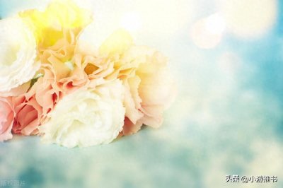 ​安利15本内容精彩的现言甜文《明月下西楼》《这世上你最好看》