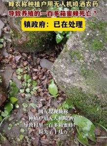 ​无人机喷洒农药，100箱蜜蜂被药死，蜂农上门理论：该不该赔？
