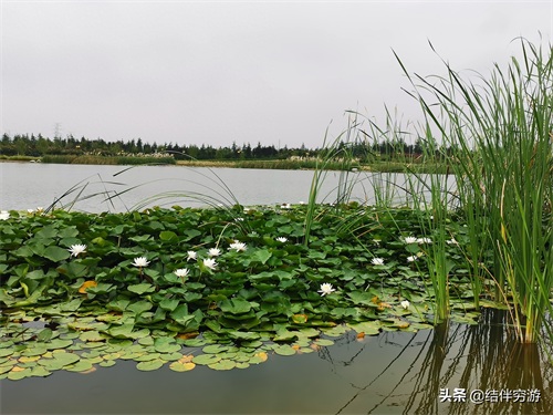 咸阳两寺渡公园有新名字了，你知道吗