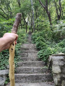 ​济南的山：莲台山，长清的又一座宝藏山