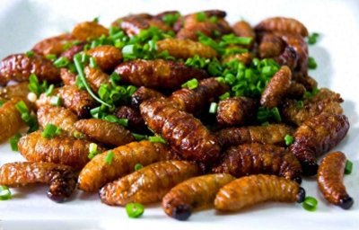 ​炸至两面金黄的“竹虫”，吃过永生难忘，你吃过吗？