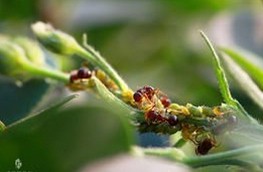 千里之堤，溃于“蚁”