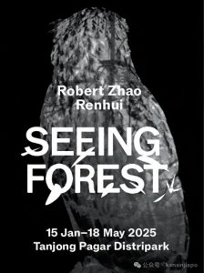 ​跨越次生林的艺术沉浸，新加坡首展！还可以免费参观