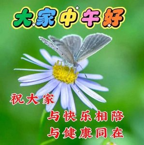 ​中午最新最好看的祝福图片，祝大家中午好！