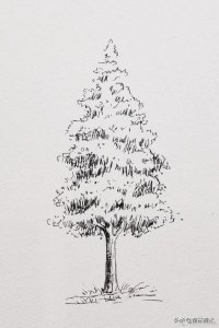 ​一组钢笔大树线稿手绘，收藏了可以练练！