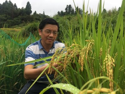 ​省科技特派员叶明儿：10年扎根大山只为村民致富