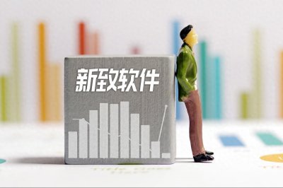 ​新致软件：引领IT服务创新的先锋