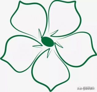 ​简笔画花，从线条到成品，你一定会喜欢（附教程）