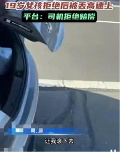 ​高速上被赶下车女生称被网暴 顺风车满足车主自身出行为前提的“民事互助行为”