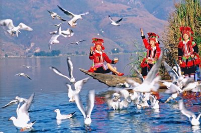 ​民族团结进步创建的“石屏探索”