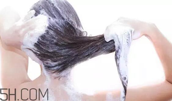 lush洗发皂怎么用?染发需要洗头吗? lush洗发皂怎么用?染发需要洗头吗?