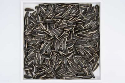 ​葵花籽 真没想到葵花籽的营养那么丰富！