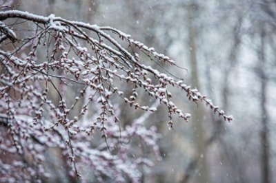 ​后来我们还是结束了这段感情！