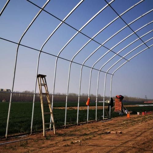 新型养殖大棚价格(新型养殖大棚材料)-第1张图片-