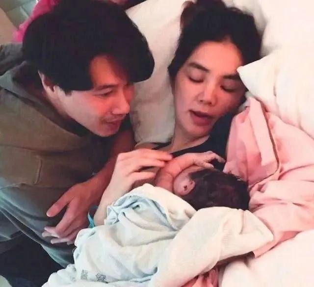 陈嘉桦个人资料简介（一战封神的陈嘉桦）