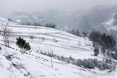 ​今冬数九时间表来了，哪天入九，哪天出九？春节是几九，冷吗？