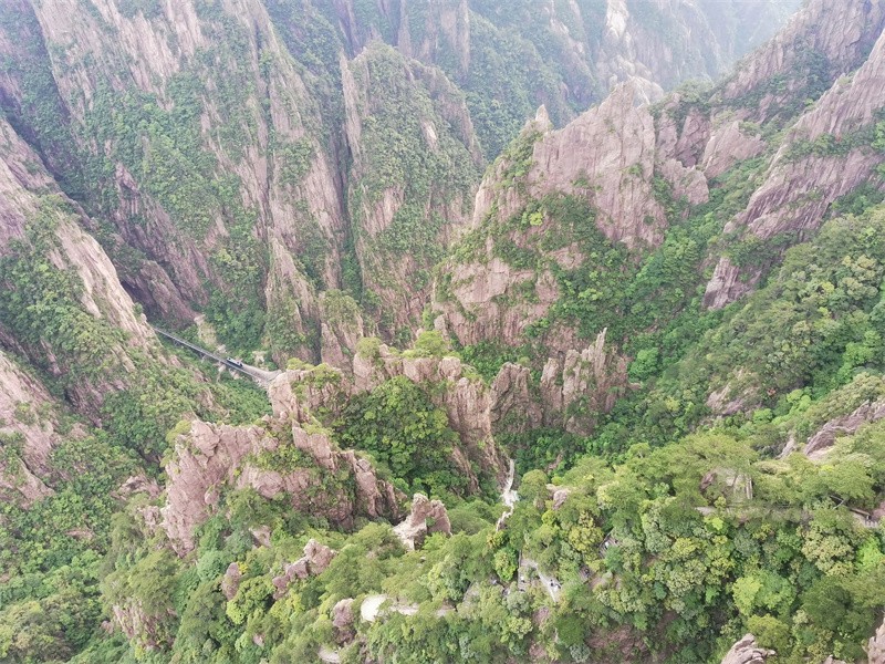 黄山和张家界哪个更值得去(黄山和张家界哪个风景好)