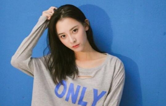 何泓姗个人资料多大 何泓姗是怎么出道和影视作品