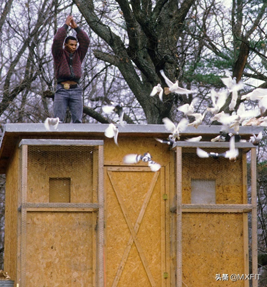 拳王泰森罕见的32张图，回顾拳王的传奇一生
