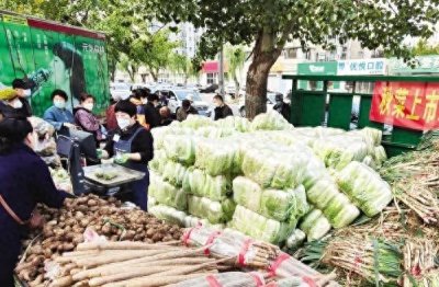 ​今冬大白菜卖出“白菜价”