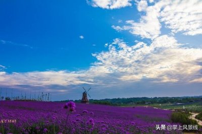 ​成都：这8个地方，带上你的宝贝快乐走起！一天来回