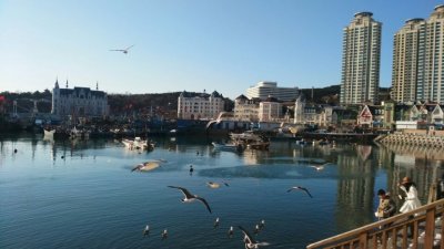 ​老虎滩渔人码头---大连小资情调的好地方