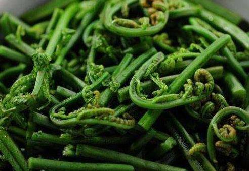 农村这种野菜煮水能治头痛，炒肉天天吃不腻，可能很多人都不知道