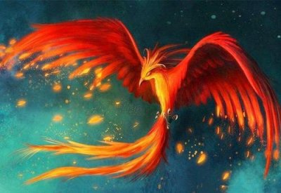 ​＂上古神兽＂之：毕方