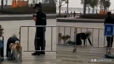 ​网曝深圳一女子和狗同拴一根绳跪地爬行，边爬边学狗叫，警方：已找到女子问询