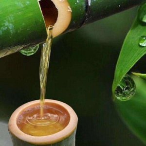 ​有人说竹筒酒就是一个谎言，这是真的吗？是怎么个套路呢