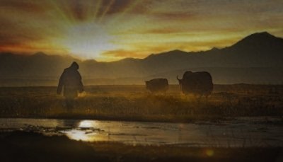 ​大器晚成：少年得志的陷阱与人生真谛的探索