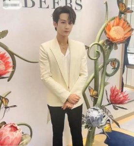 ​全能艺人檀健次身高惊人，脚踩5公分厚底鞋引网友热议