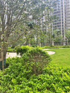 ​身为官职人员不是色字当头，就是权字当头。有的还是权、色两不误