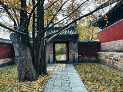 ​香山最全攻略