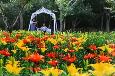 ​七夕怎么过？红叶谷这份优惠攻略请收下