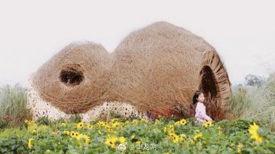 ​神秘又有安全感！重庆这所高校打造的“树洞”斩获国际建造双一等奖