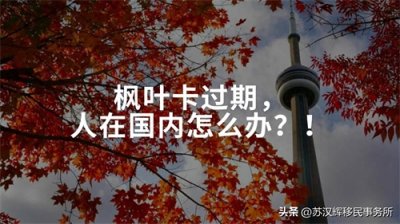 ​枫叶卡过期，人在国内怎么办？！之PRTD